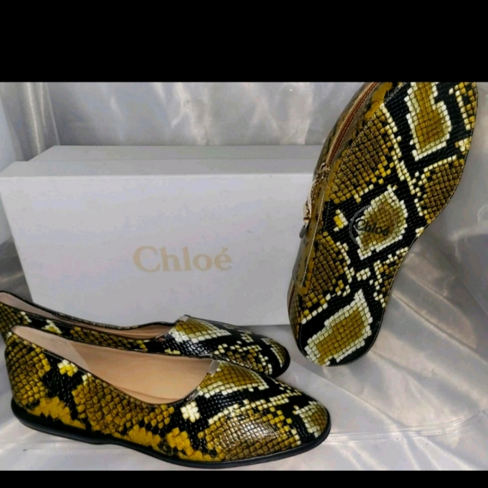 Chloé Marigold Snake Ballet Flat & Matching Case, New In Box, Rare Find! Sz 10